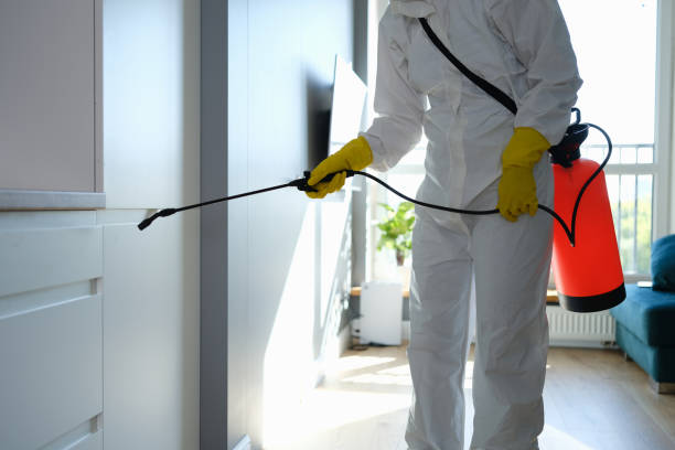 Best Office Mold Removal Services  in Roseville, MI