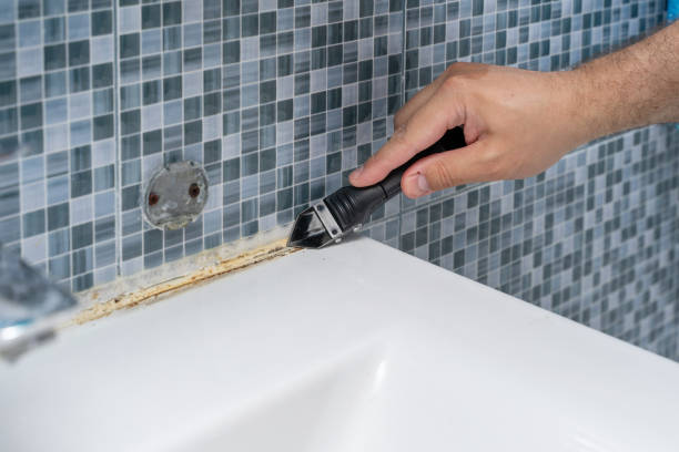 Best Affordable Mold Removal  in Roseville, MI